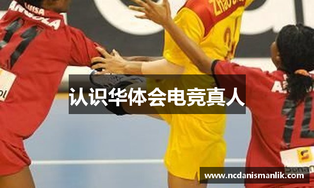 认识华体会电竞真人